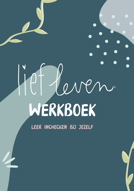 Digitaal werkboek • Inchecken bij jezelf